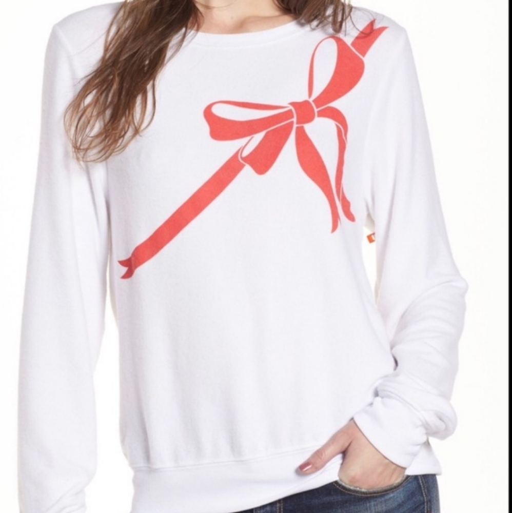 Wildfox sweater brand new